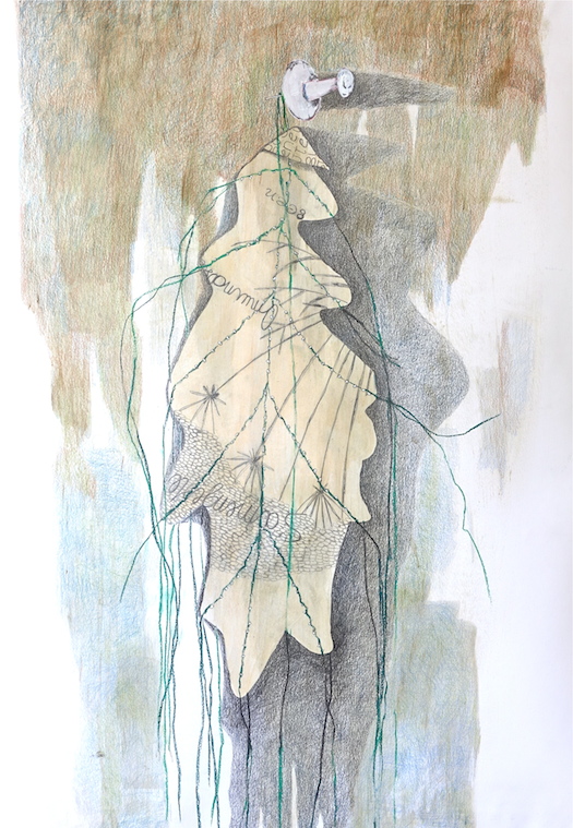 Rucola 3 - Lea Adriaans