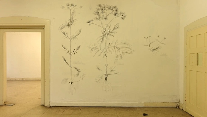 Herbarium - Lea Adriaans