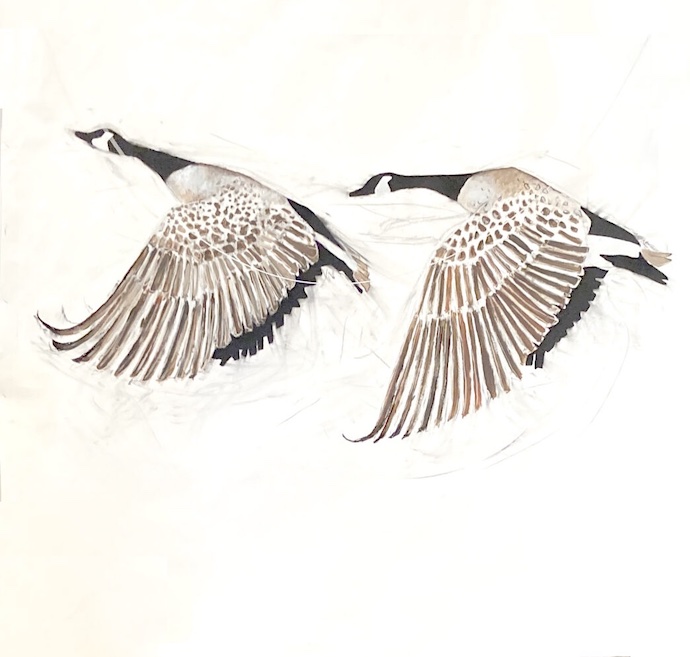 Stereo - Lea Adriaans